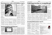 Síða 4