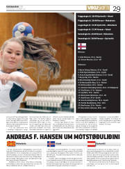 Síða 29