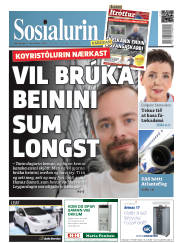 Síða 1
