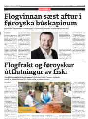 Síða 11