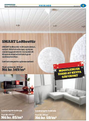 Síða 29