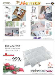 Síða 43