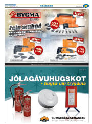 Síða 51