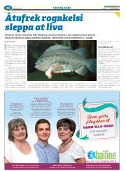Síða 52