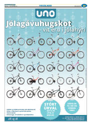 Síða 55