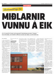 Síða 8