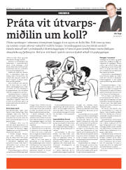 Síða 11