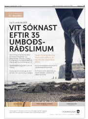 Síða 15