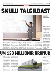 Síða 17