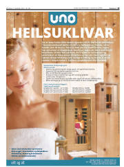 Síða 19