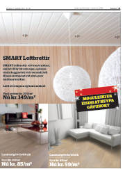 Síða 21