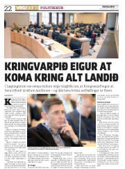Síða 22