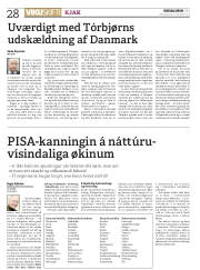 Síða 28