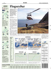 Síða 17