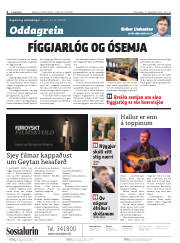 Síða 2