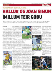 Síða 15