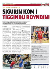 Síða 17