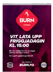 Síða 5