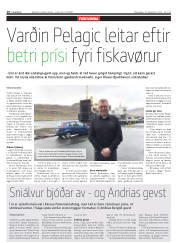 Síða 16