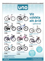Síða 17