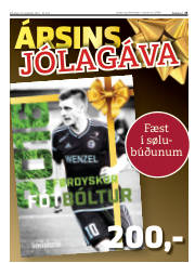 Síða 25