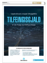 Síða 3
