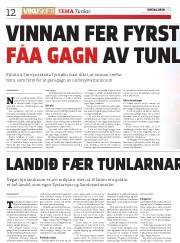 Síða 12
