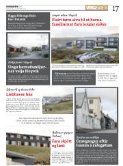 Síða 17