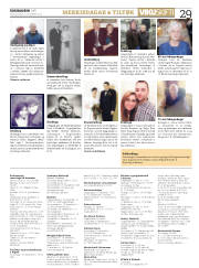 Síða 29