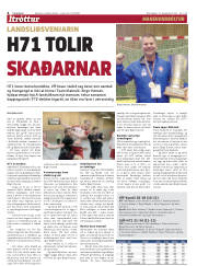 Síða 20