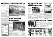 Síða 3