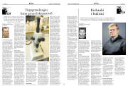 Síða 17
