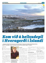 Síða 41