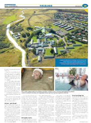 Síða 43