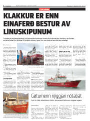 Síða 6