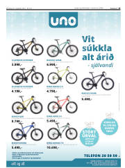 Síða 15