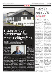 Síða 17