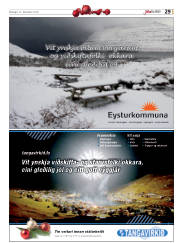 Síða 61