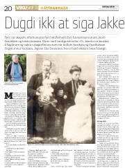 Síða 20
