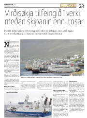 Síða 23