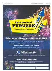 Síða 5