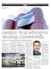 Síða 10