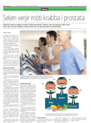 Síða 12