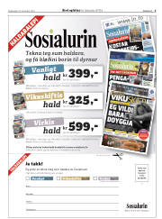 Síða 19