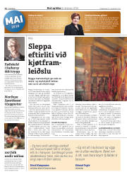 Síða 28
