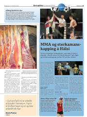 Síða 29