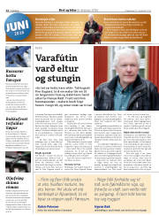 Síða 30