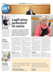 Síða 38
