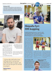 Síða 43