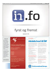 Síða 11